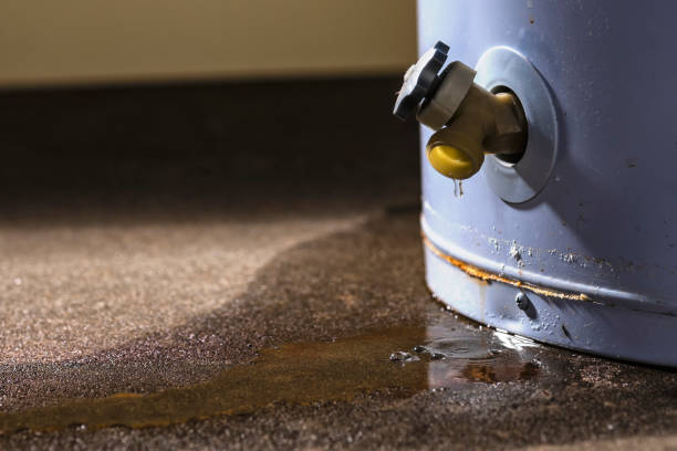 Best Basement water damage restoration  in Arta, CA