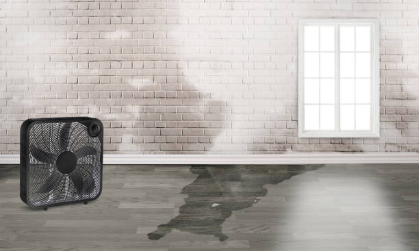Best Local water damage restoration  in Arta, CA
