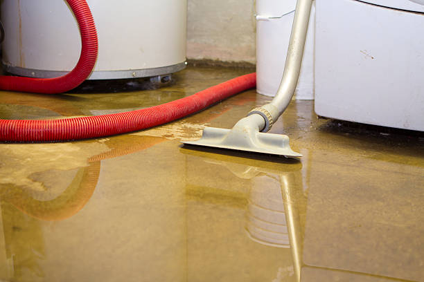 Best 24/7 water damage repair  in Arta, CA