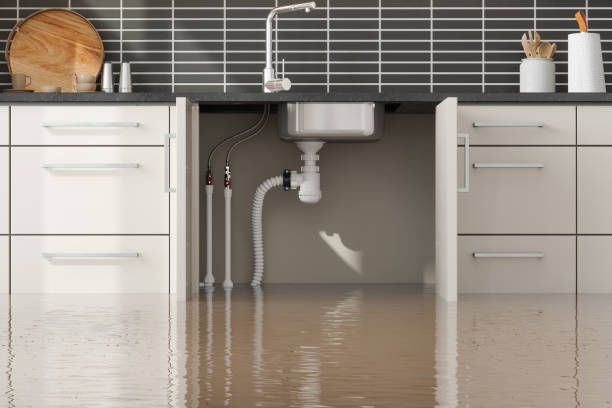Best Fire Damage Restoration  in Arta, CA
