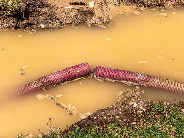 Best Carpet water damage restoration  in Arta, CA