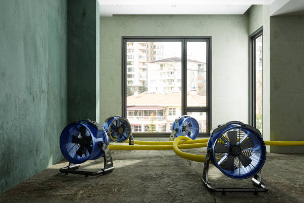 Best Water damage restoration specialists  in Arta, CA